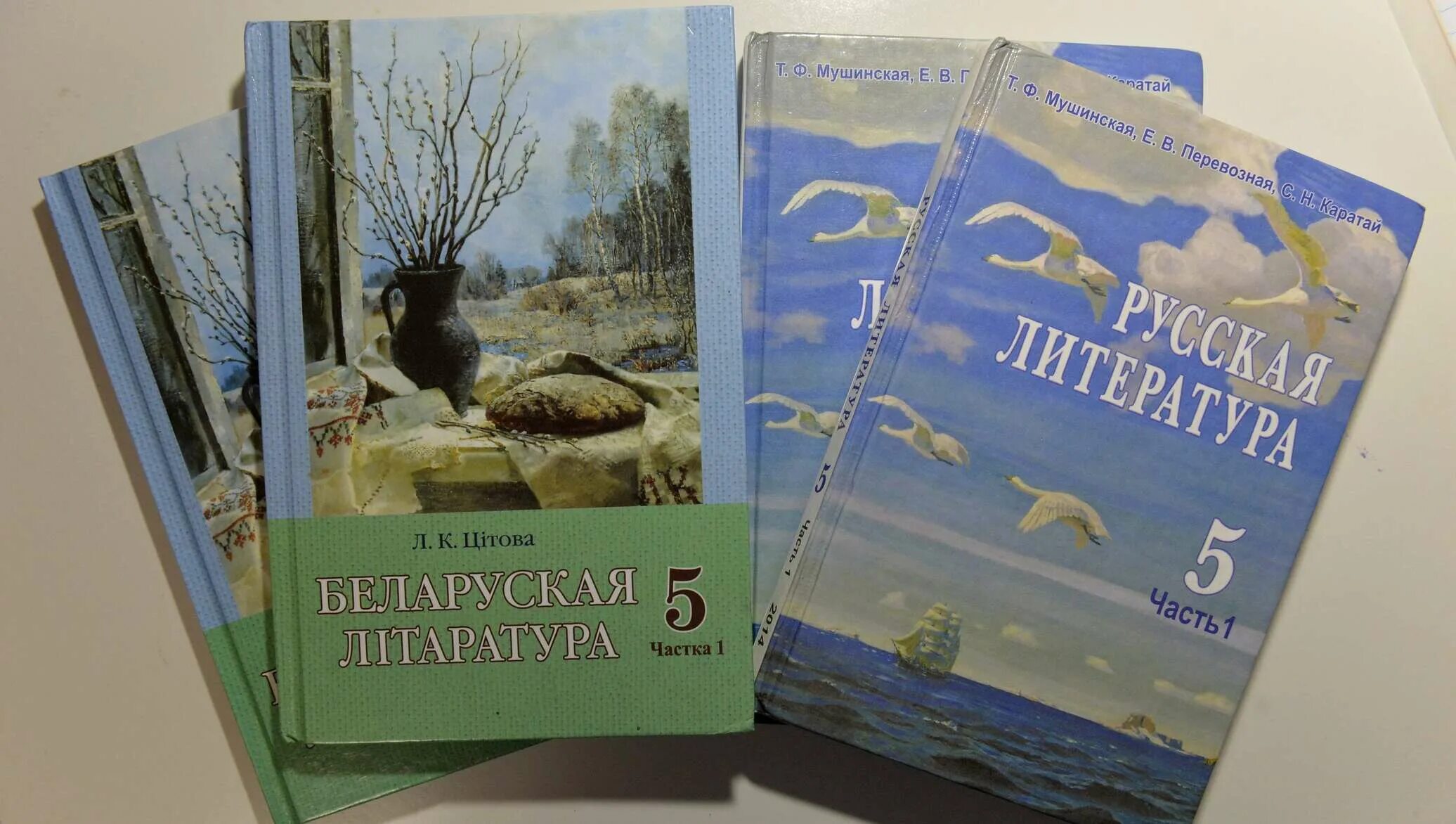 Учебник белорусской мовы. Белорусская литература. Литература Беларуси. Белорусские учебники. Белорусский учебник литературы.