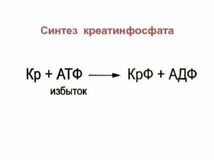 Креатинфосфат восстановление