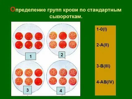 Два определения группы