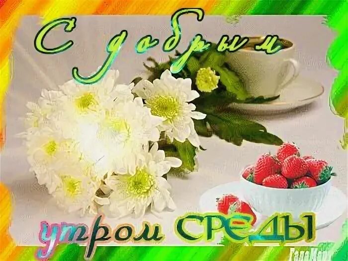 Открытки с добрым утром среды. Поздравление со средой. Доброе утро среда. Открытки с пожеланиями на среду. Открытки со средой.
