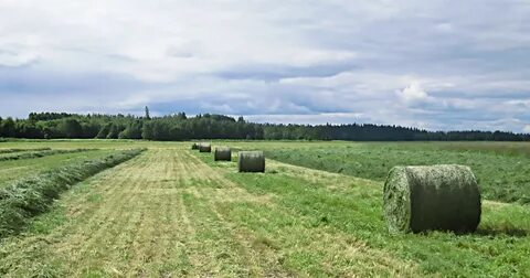 Село аграрное