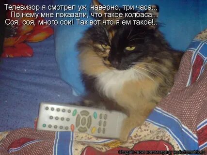 Наверно 3