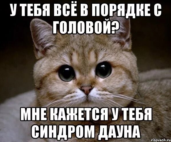 Ты в порядке. С головой все в порядке. У тебя все в порядке. У тебя с головой все в порядке. У тебя тебя всё в порядке?.