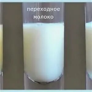 Молозиво при беременности