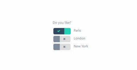 Input checkbox css