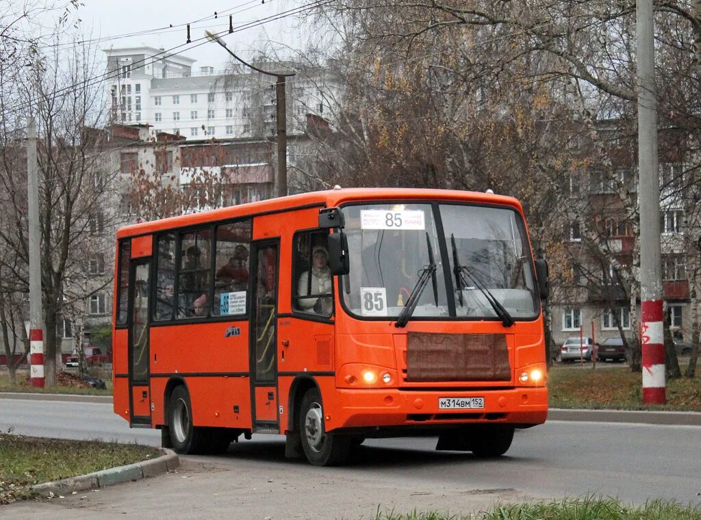 Автобус нижний новгород каменки. Паз 3204-05. Автобус нижний новгород каменки. Автобус нижний новгород каменки. Маршруты нижнего.