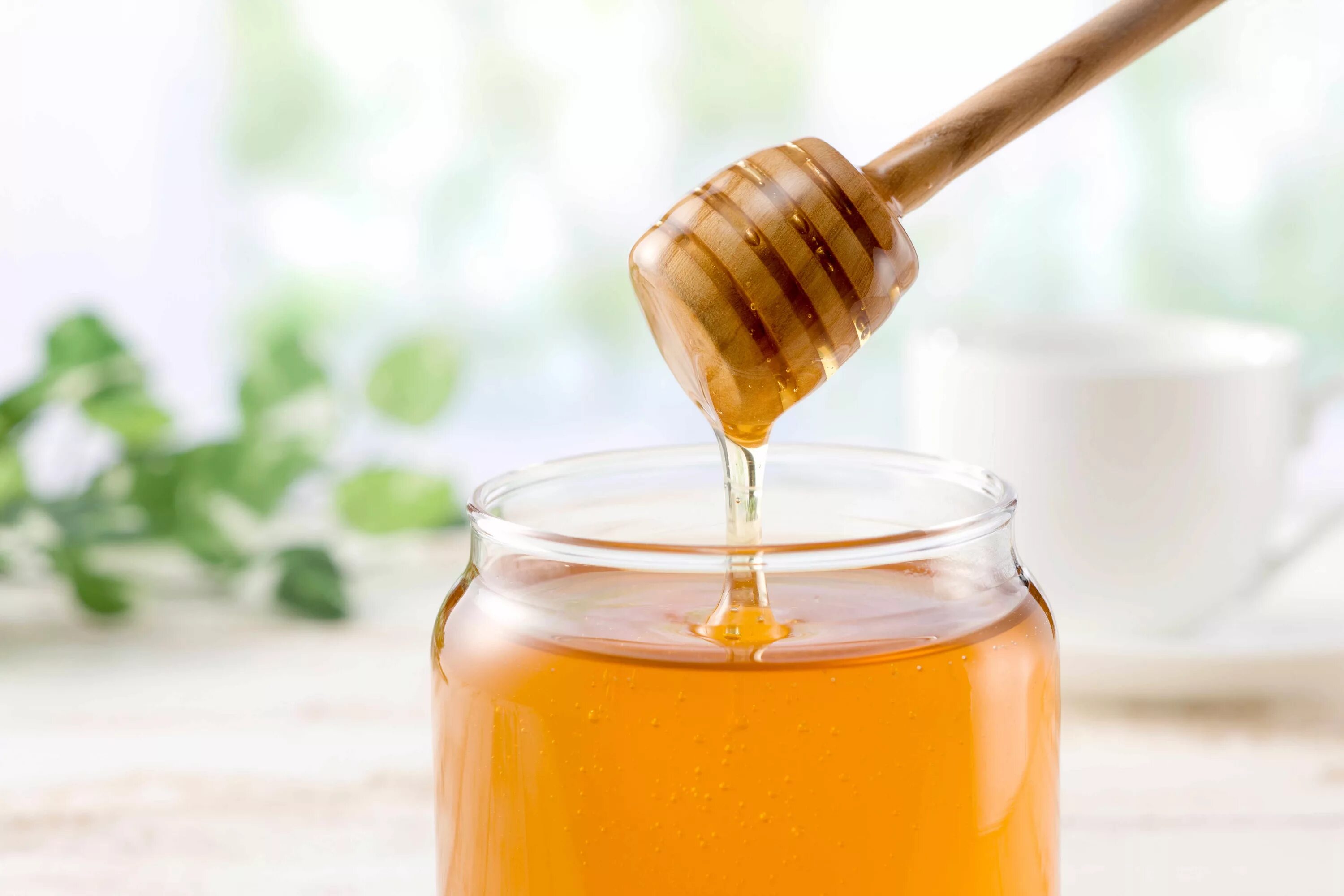 Мед красивое фото. Растёкшийся мёд с водой. Женщина мед. Мед и горячая вода