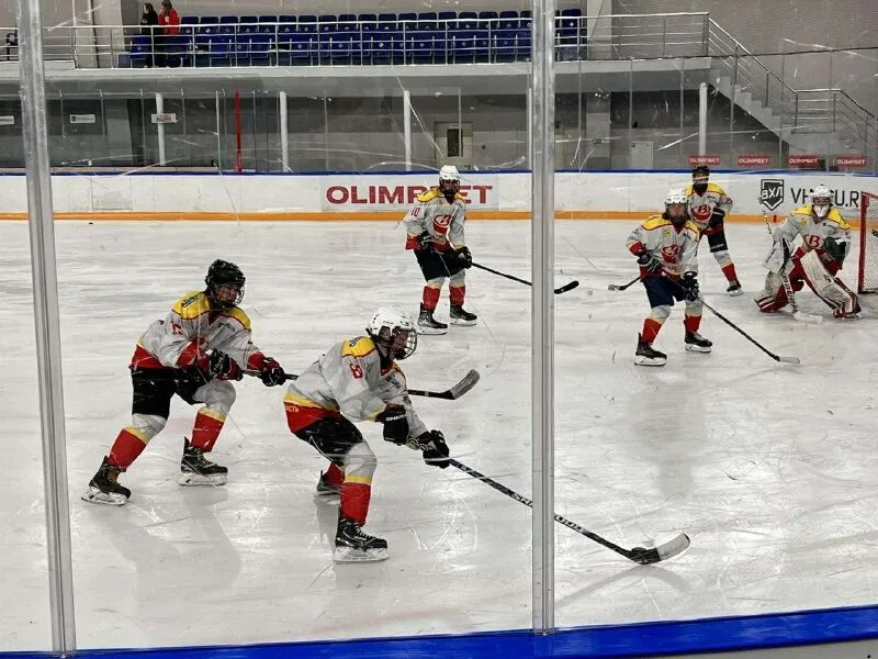 пфо 2023 хоккей 2011