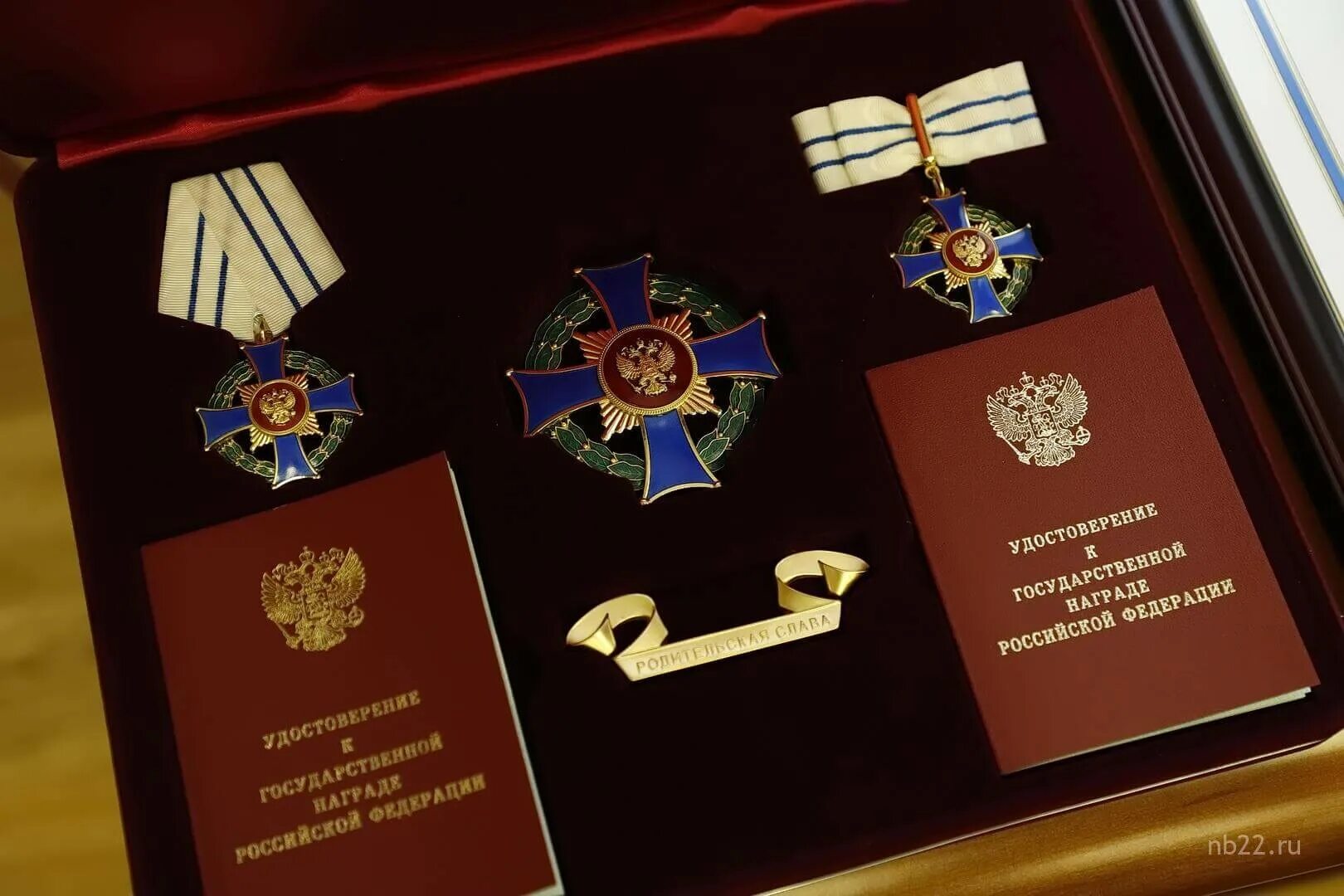 Родительский орден как получить. Медаль ордена родительская слава 2025. орден родительская слава награждение. орден родительская слава 2025. орден родительская слава 2025.
