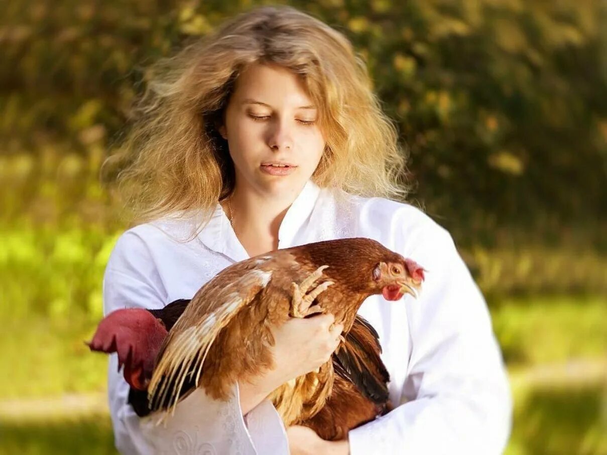 Человек изображает курицу. Девки курицы. Фотосессия дети с курицей. Человек курица. Человек курица.