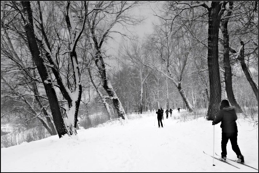 Есть в старом парке черный