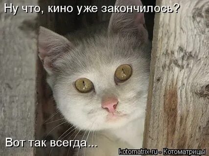 Свет кончится