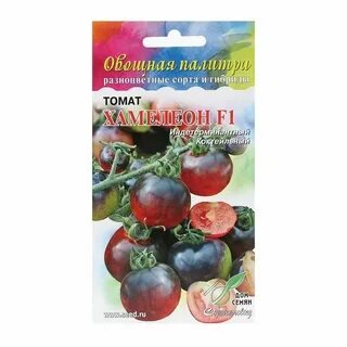 Томат хамелеон отзывы