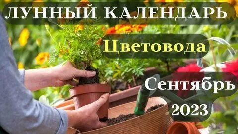 Лунный календарь огородника на май 2023 год