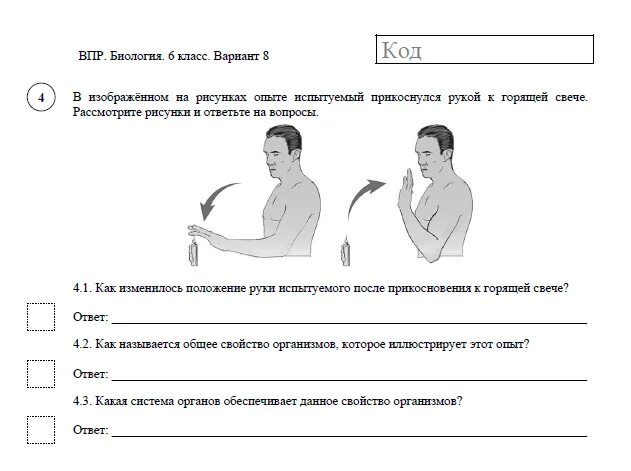 Впр 6 октября. ВПР по биологии 6 класс с ответами. ВПР биологии шестой класс. ВПР по биологии 8 класс человек. ВПР по биологии 2021.