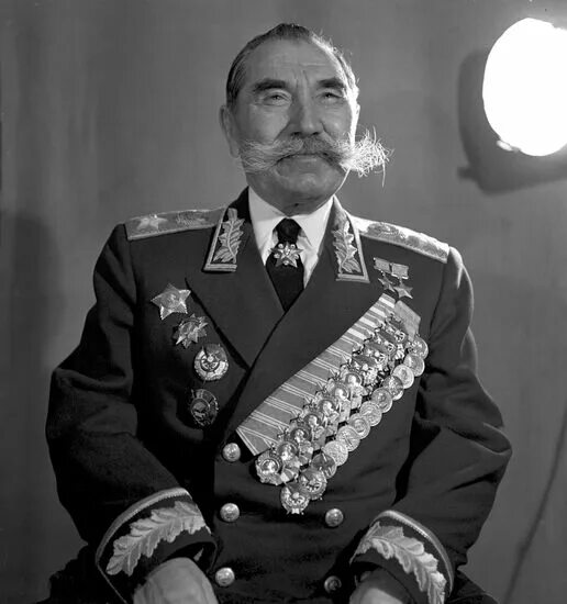 Маршал буденный. Буденный первый председатель правления. Буденный первый председатель правления. Маршал буденный фото. Буденный первый председатель правления.