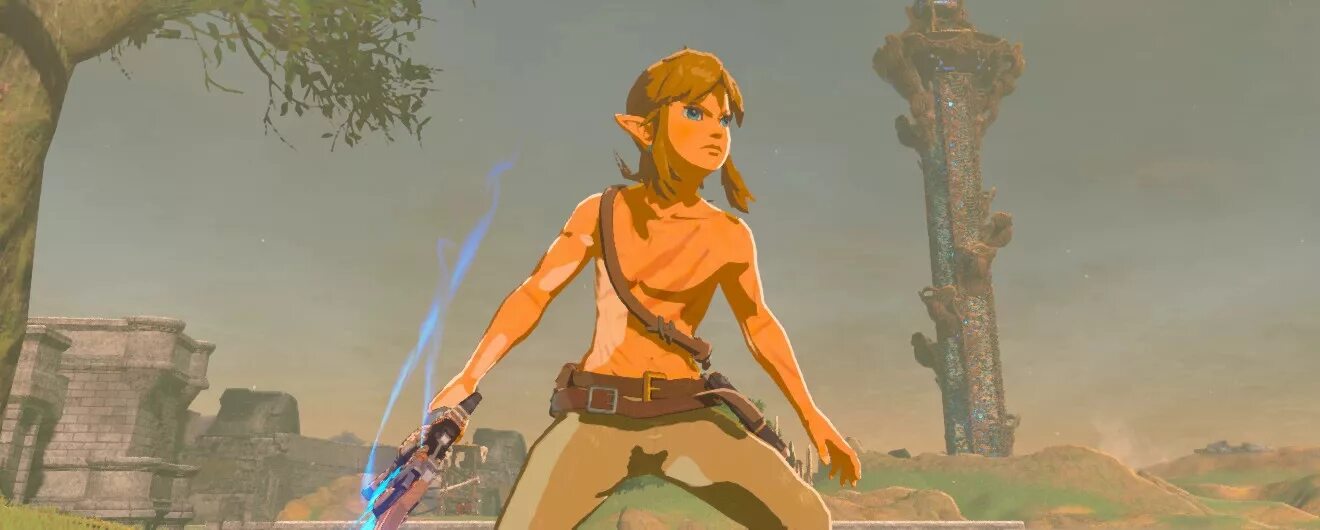 Zelda botw mods. Бидл Зельда. The Legend of Zelda: BOTW ветряки. Зельда глайдер. Страж Zelda BOTW.