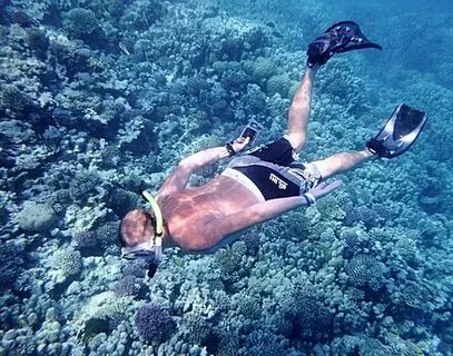 Спортсмен занимающийся дайвингом погрузился в воду 110