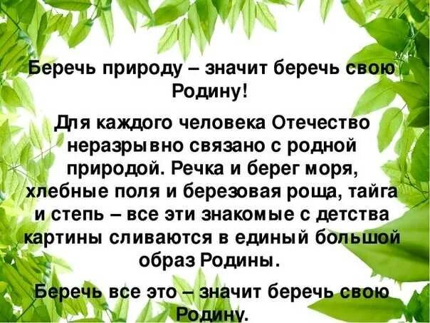 Предложения на тему берегите природу. Берегите природу презентация. берегите природу доклад. сочинение на тему человек береги природу.