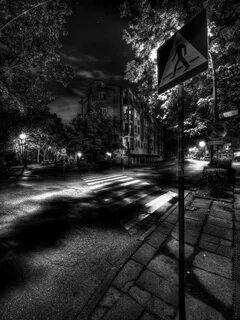 120 фотографий