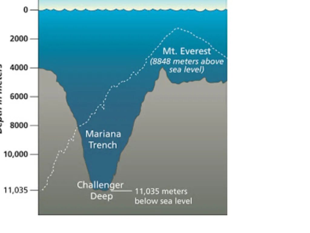 Нулевая глубина. Марианская впадина рельеф дна. Атлантический океан Марианская впадина. Марианская впадина на карте. Самые глубокие впадины в океанах.