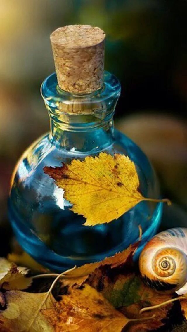 Пятница последний день сентября. L'occitane 7. Аромат листвы. Spring green. Jo malone wild strawberry & parsley.