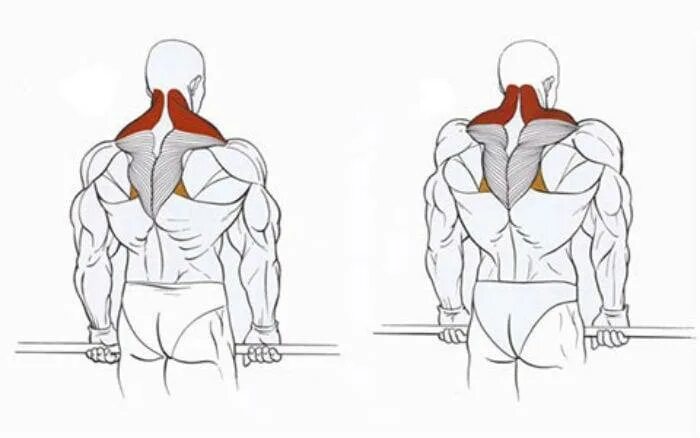 Упражнения на трапециевидную. Упражнение шраги со штангой. Трапециевидная мышца шраги. Шраги со штангой стоя.