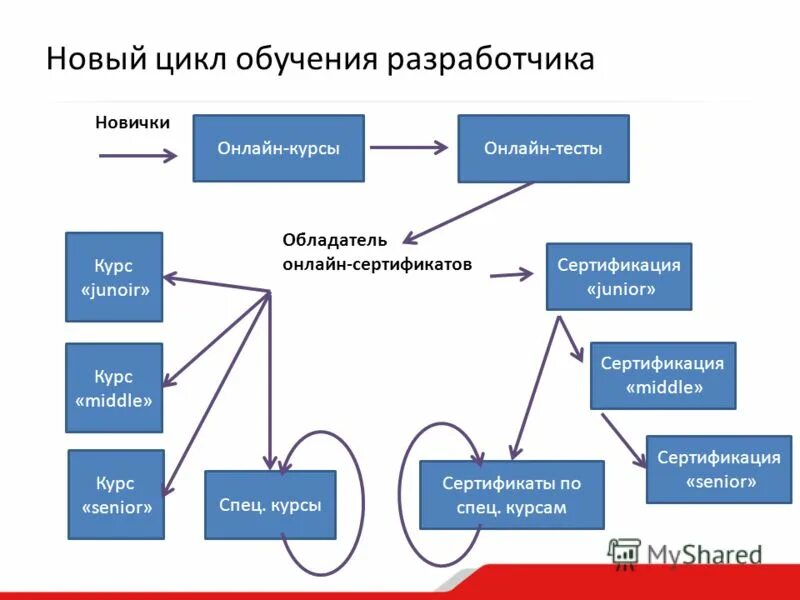 Цикл тренинга