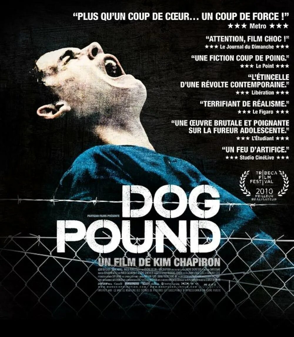 Doggy pound. Загон для собак 2009. Doggy pound. Doggy pound. Doggy pound.