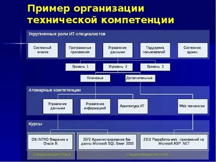 Примеры организованного человека