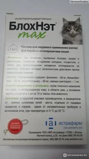 Самое эффективное средство от блох для кошек