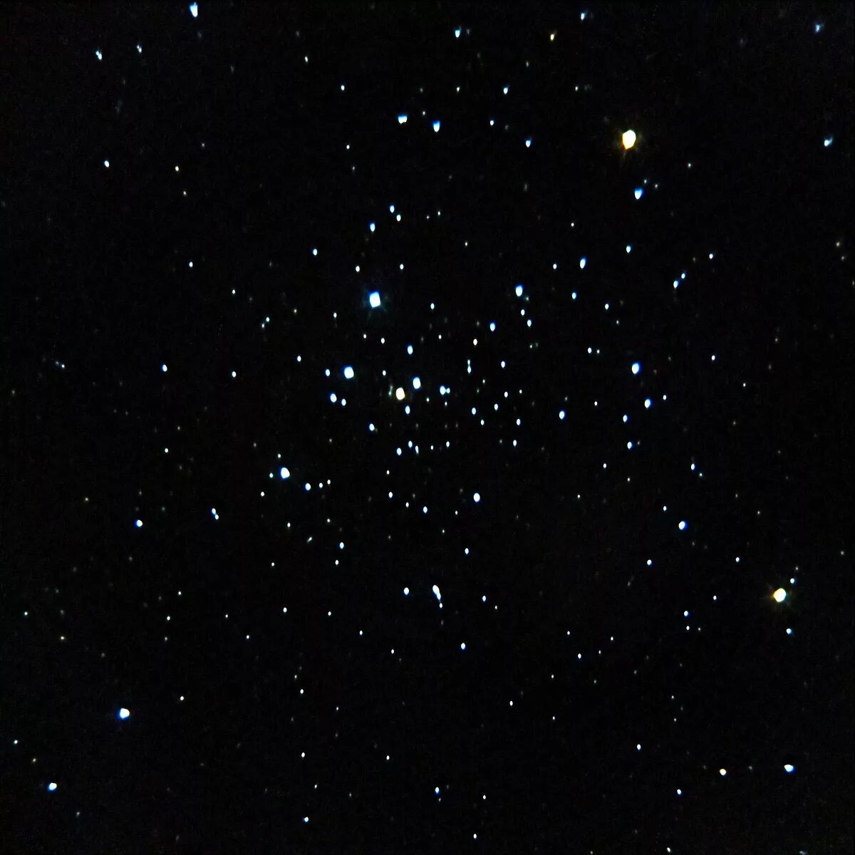 NGC 2516.