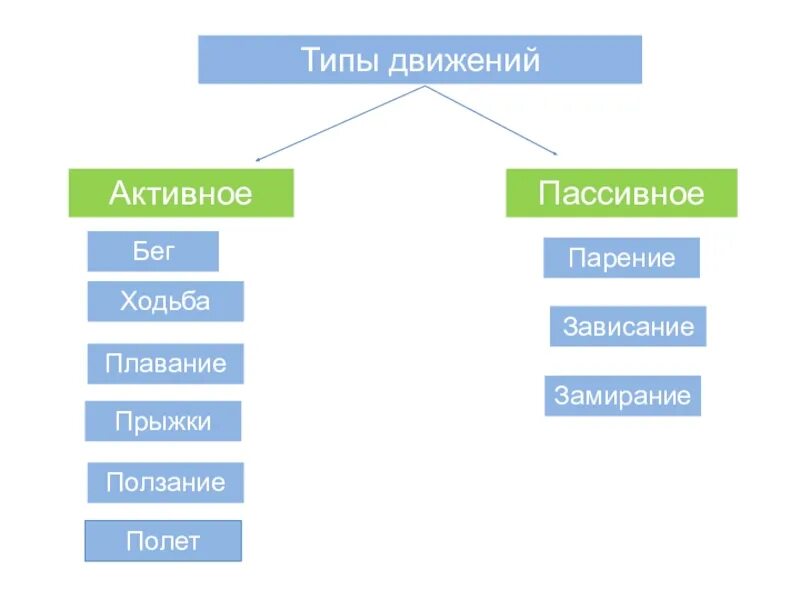 Движение 6 класс. Виды передвижения. Типы движения животных. Пассивное и активное движение животных. Пассивное передвижение животных.