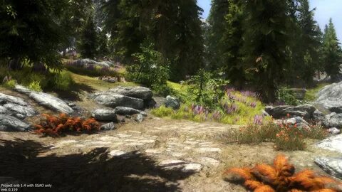 Skyrim se enb