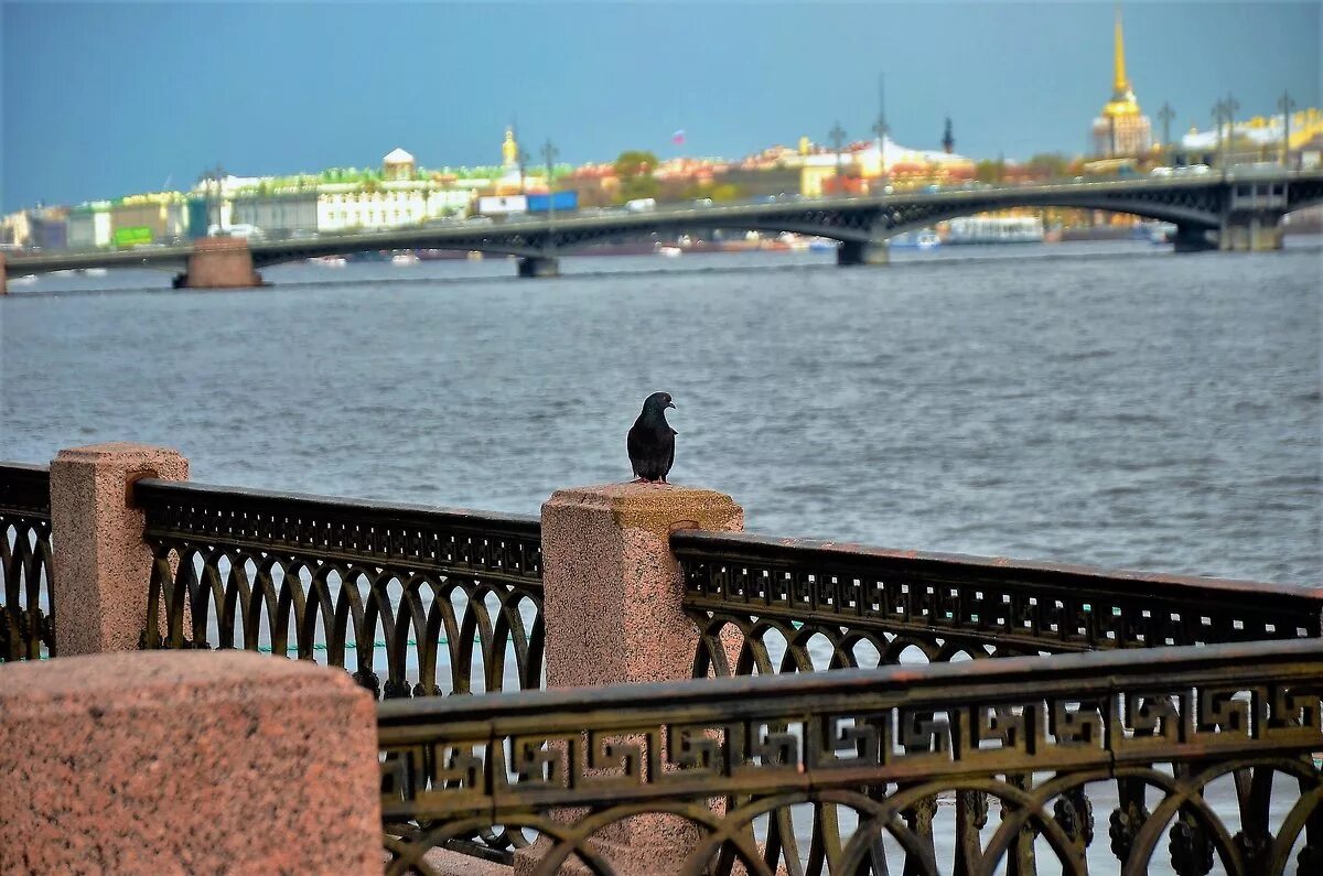 набережная лейтенанта шмидта. набережная лейтенанта шмидта. набережная шмидта. набережная лейтенанта шмидта. набережная лейтенанта шмидта 43.