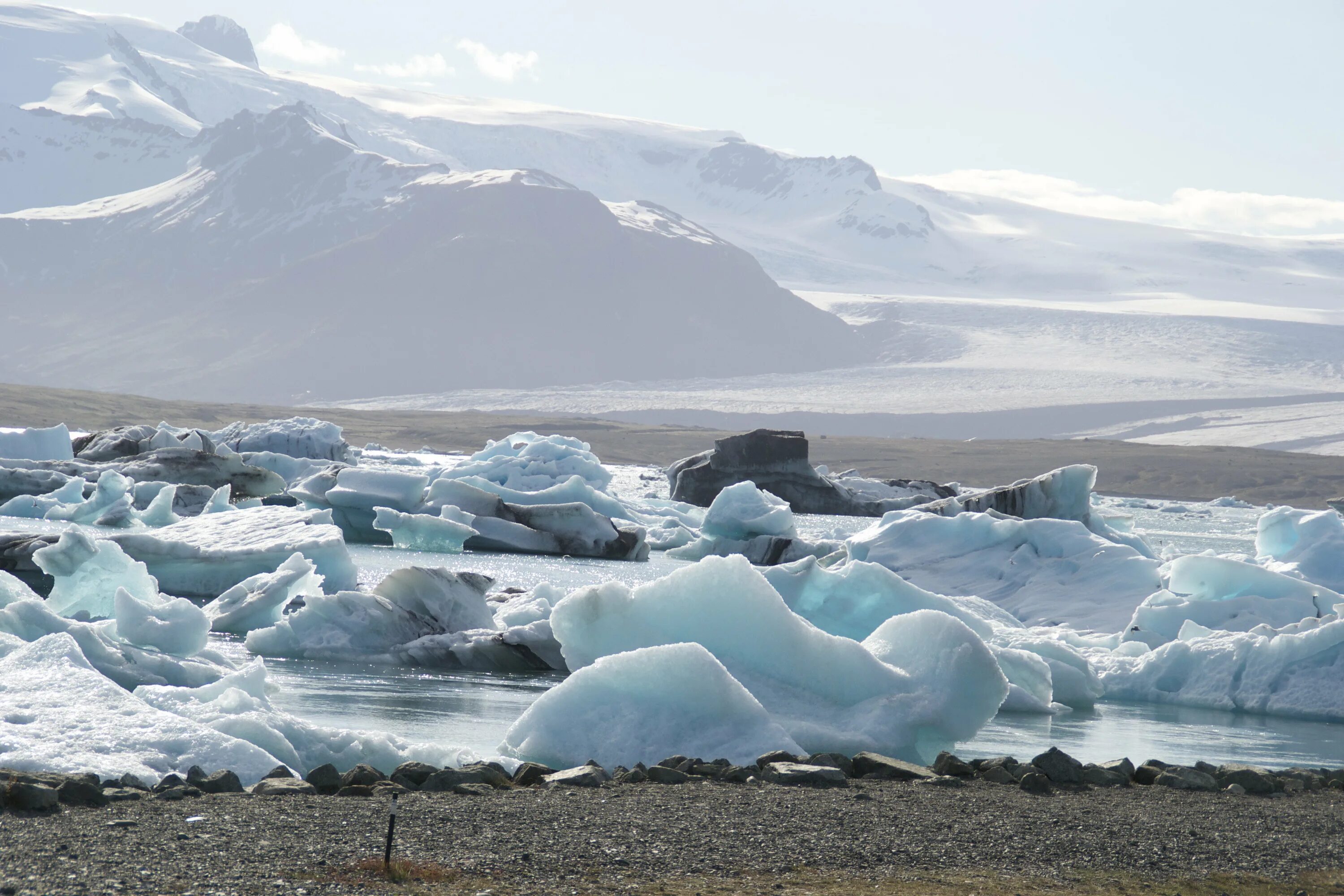 Арктическая зона северной америки. Арктика Северный Ледовитый океан. Антарктическая тундра в Антарктиде. Исландия Северный Ледовитый океан.