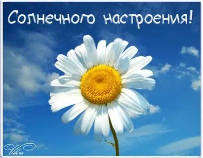 Доброго солнечного дня и всего хорошего