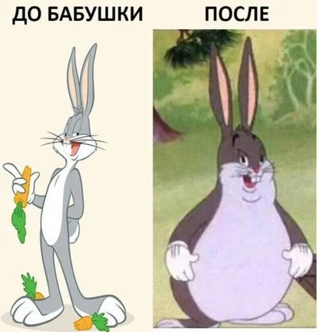 Кролик мем. Заяц Мем. Худой кролик. Мемы с зайцем.