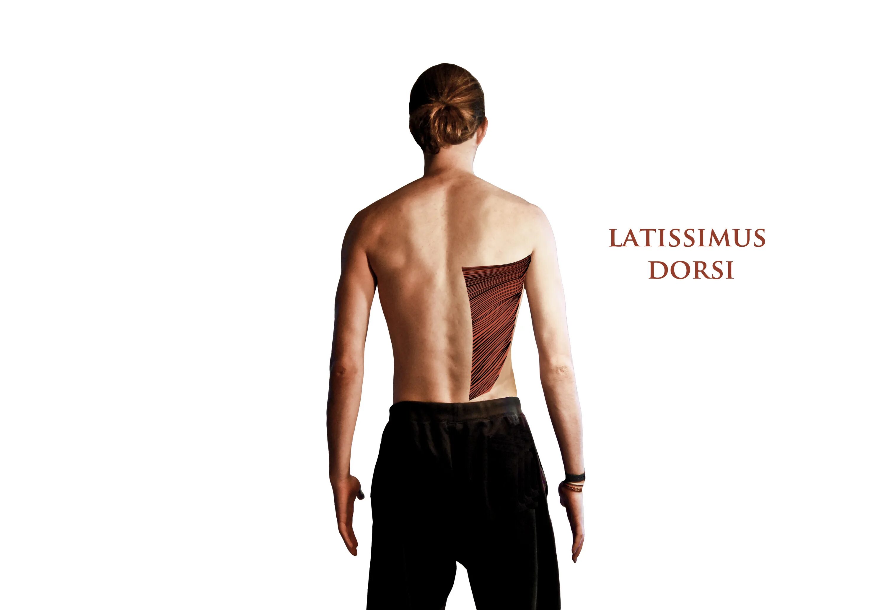 Тренажер dorsi ramp для растяжки ахилла. Dorsi ramp для растяжки ахилла. Тренажер dorsi ramp для растяжки ахилла. Дорси рамп аналоги. Dorsi ramp для растяжки ахилла.