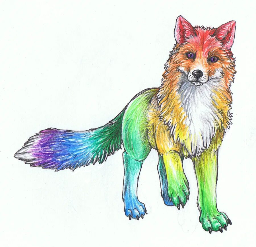 Rainbow 3 animals. Рейнбоу Фокс. Радужная лиса. Лиса и Радуга. Разноцветные лисы.