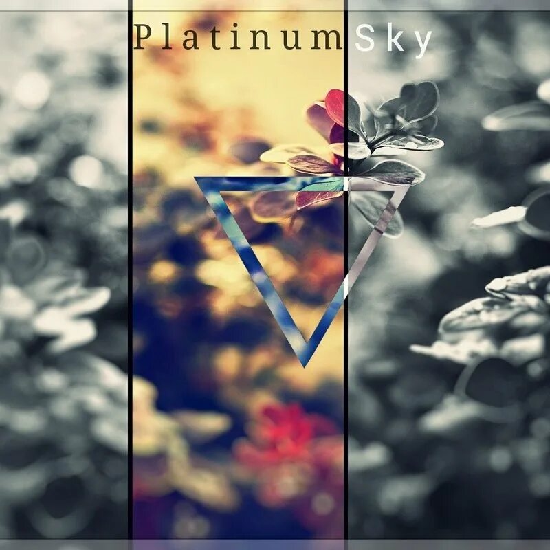 Sky demo. Жанры Platinum Sky Music. Все музыкальные воспоминания Sky. Dark Skies (Platinum Mix).