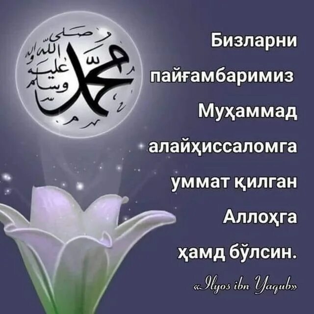 Хайрли тун. Kayfiyatim yaxshi muhammad. Пайгамбаримизга салават айтиш. Хотин хакида шер. Чиройли статус.