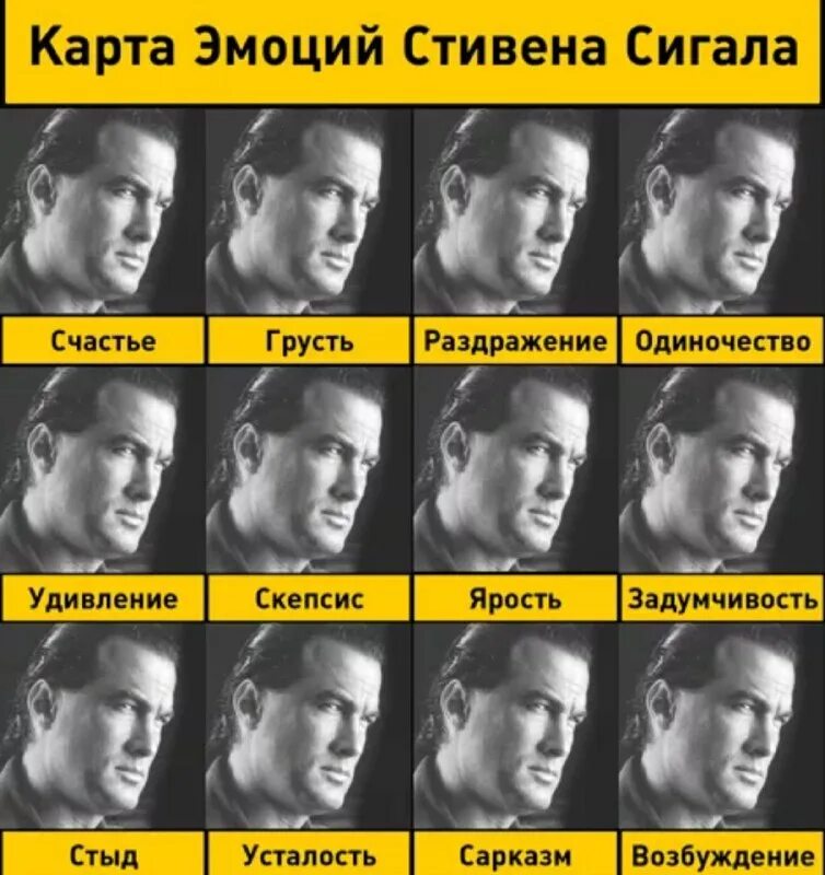 Мем эмоции. Стивен сигал эмоции. таблица эмоций стивена сигала. эмоции стивена сигала. спектр эмоций стивена сигала.