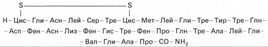 Ала про лей. Химическое строение паратгормона. Химическая структура паратиреоидный гормон. Паратгормон химическая структура. Кальцитонин структура.