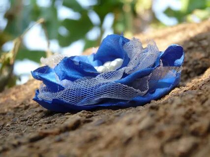 Beeng Online Shopping: Bluech