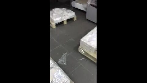 18 тонн золота нашли у зам начальника