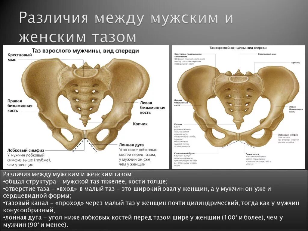 Отличить кость