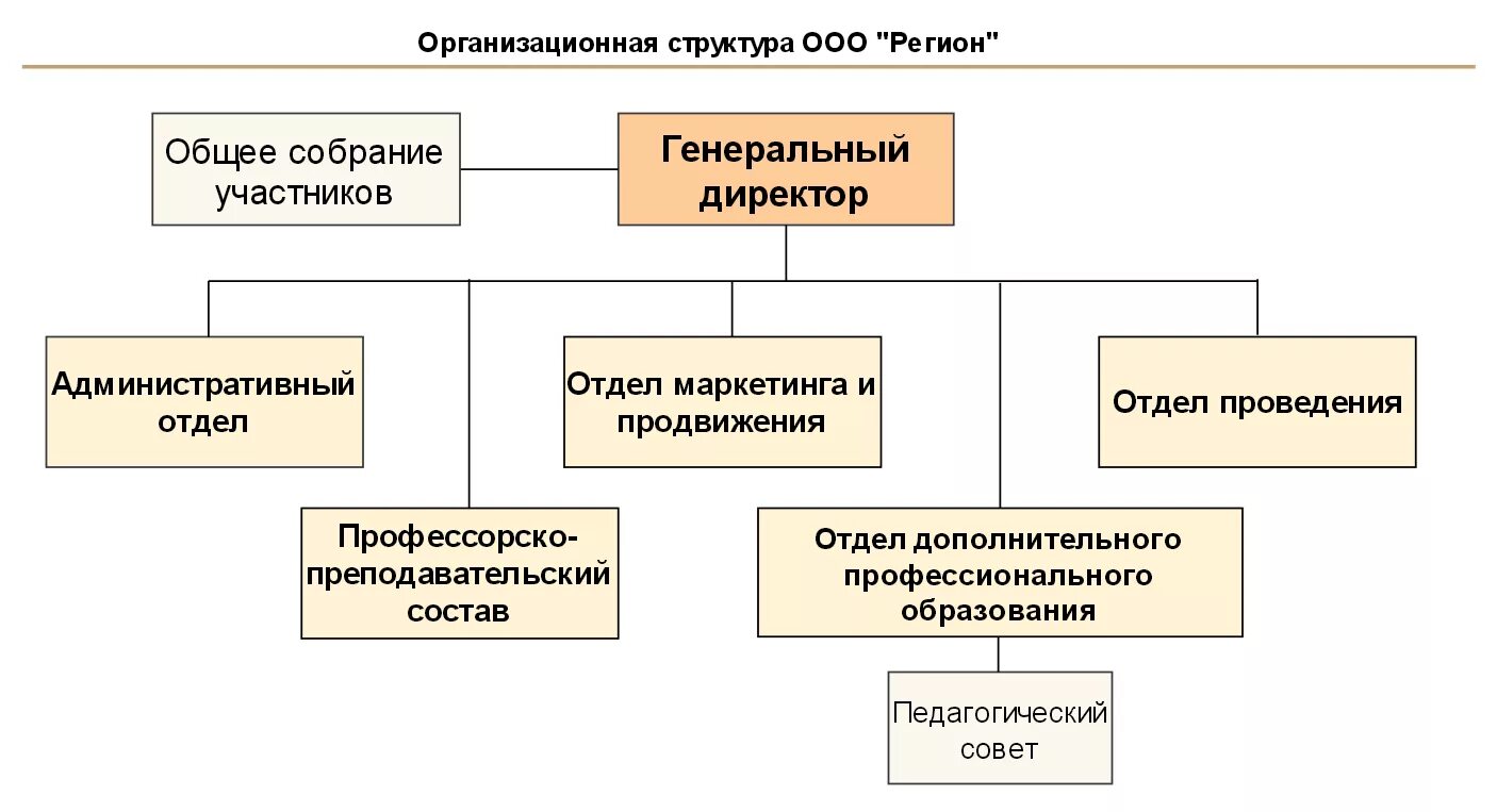 Органы управления ООО. Отдел маркетинга. Структура органов управления ООО. Организационная структура ЧОУ ДПО. Структура оо