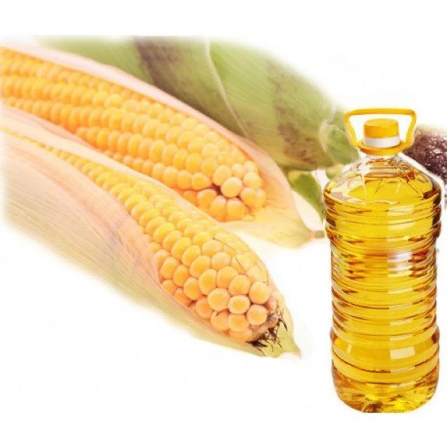 Corn oil. Кукурузное масло. Растительное масло кукурузное. Кукуруза с маслом. Масло кукурузное рафинированное.