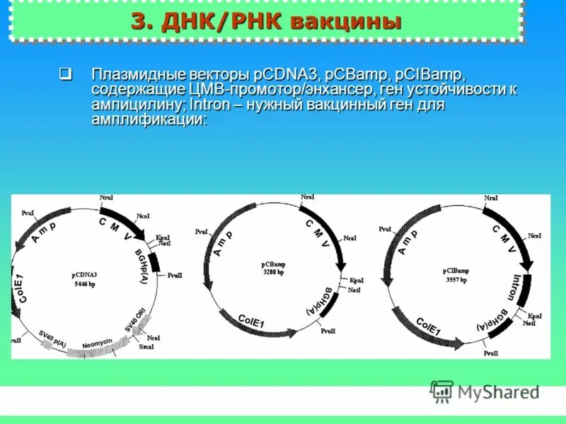 Рнк вакцины